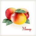 Ripe mango on the white