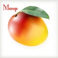 Ripe mango on the white