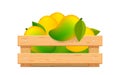 Ripe mango in wood crate box isolated on white, mango fruit pack in wooden crate, illustration mango pile and crate wood for clip