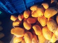 Ripe mangoes mango fruits for sell by street vendor in Mexico Latin America