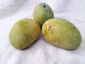 Ripe mangoes are ready to eat Royalty Free Stock Photo