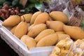 Ripe mangoes sold in local markets of Thailand.