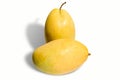 Ripe Mangoes in White Background Royalty Free Stock Photo