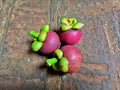 ripe mangosteen fruit with reddish-purple color and green petals