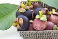 Ripe mangosteens Garcinia mangostana with green leaves in a basket on the white background Royalty Free Stock Photo