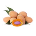 Marian Plum or Plum Mango