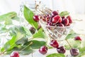 Ripe maroon cherries in a glass vase and a jar Royalty Free Stock Photo