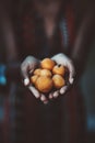 Ripe medlar fruits in female hands