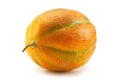 Ripe melon fruit colseup Royalty Free Stock Photo