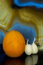 Ripe melon and two small decorative pumpkins on an abstract background Royalty Free Stock Photo