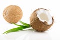 Ripe and mouth-watering coconut