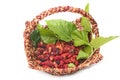 Ripe mulberries in wicker basket