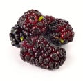 Ripe mulberry Royalty Free Stock Photo