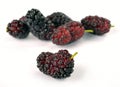 Ripe mulberry Royalty Free Stock Photo