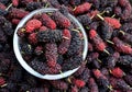 Ripe mulberry berries in a bowl