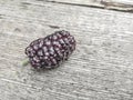 Ripe mulberry fruit on wooden table Royalty Free Stock Photo