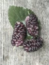 Ripe mulberry fruit on wooden table Royalty Free Stock Photo