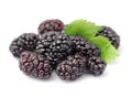 Ripe mulberry with leafs Royalty Free Stock Photo