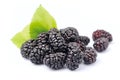 Ripe mulberry Royalty Free Stock Photo