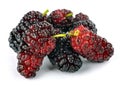 Ripe mulberry Royalty Free Stock Photo