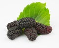 Ripe mulberry Royalty Free Stock Photo