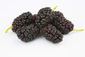 Ripe mulberry Royalty Free Stock Photo