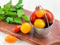 Ripe multicolored mini tomatoes in a small zinc or metal bucket and parsley on a brown wooden cutting board. Vegetables,