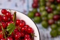 Ripe natural berries red currant and green gooseberries on the table Royalty Free Stock Photo