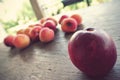 Ripe nectarine, with apricots in the background, on the rustic wooden table Royalty Free Stock Photo