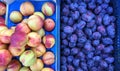 Fresh Nectarines and Purple Plums, Greek Street market Royalty Free Stock Photo