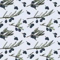 Pattern with olives. Hand drawn olive branch. Color vector pattern on a light background Royalty Free Stock Photo