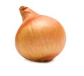 Ripe onion Royalty Free Stock Photo