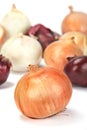Ripe onion Royalty Free Stock Photo