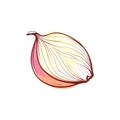 Ripe onion half isolated vector icon