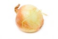 Ripe Onion.