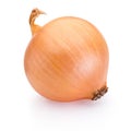 Ripe onion isolated on white background Royalty Free Stock Photo
