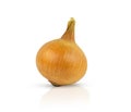 Ripe onion isolated on a white background