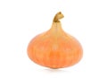 Ripe onion Royalty Free Stock Photo