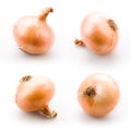 Ripe onion on white Royalty Free Stock Photo