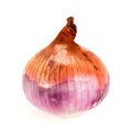 Ripe onion