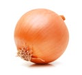 Ripe onion