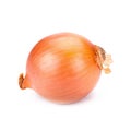 Ripe onion on a white background Royalty Free Stock Photo
