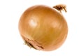 Ripe onion on a white background Royalty Free Stock Photo