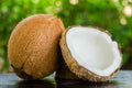 Ripe and open coconuts Royalty Free Stock Photo