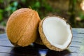 Ripe and open coconuts Royalty Free Stock Photo