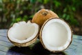 Ripe and open coconuts Royalty Free Stock Photo