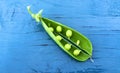 A ripe open pea pod with green beans in it