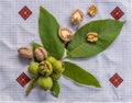 Ripe opened walnut. Royalty Free Stock Photo