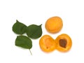 Ripe orange apricots with leaves and stone on white background. Isolated Royalty Free Stock Photo