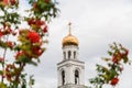 Ripe orange berries of the Rowan tree and the Orthodox Church in the background. The City Of Samara, Russia. The Iversky monastery